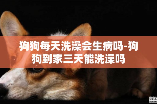 狗狗每天洗澡會生病嗎-狗狗到家三天能洗澡嗎