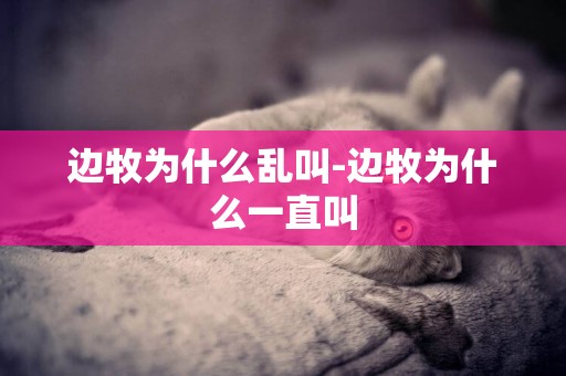 邊牧為什么亂叫-邊牧為什么一直叫