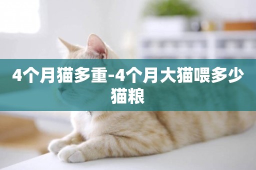 4個月貓多重-4個月大貓喂多少貓糧