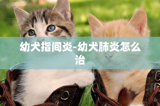 幼犬指間炎-幼犬肺炎怎么治