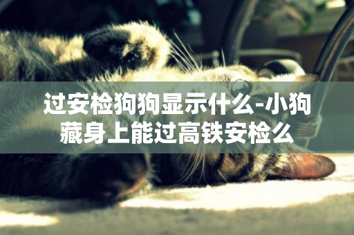 過安檢狗狗顯示什么-小狗藏身上能過高鐵安檢么