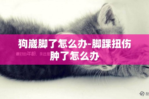 狗崴腳了怎么辦-腳踝扭傷腫了怎么辦