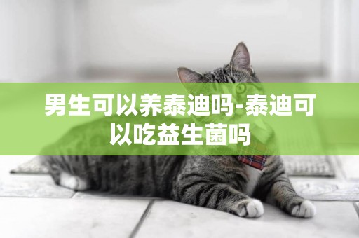 男生可以養泰迪嗎-泰迪可以吃益生菌嗎