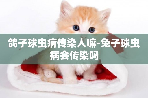 鴿子球蟲病傳染人嘛-兔子球蟲病會傳染嗎