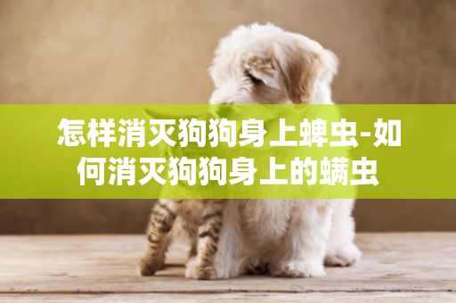 怎樣消滅狗狗身上蜱蟲-如何消滅狗狗身上的螨蟲