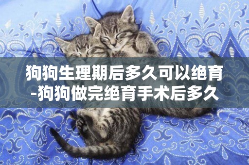 狗狗生理期后多久可以絕育-狗狗做完絕育手術后多久可以活動