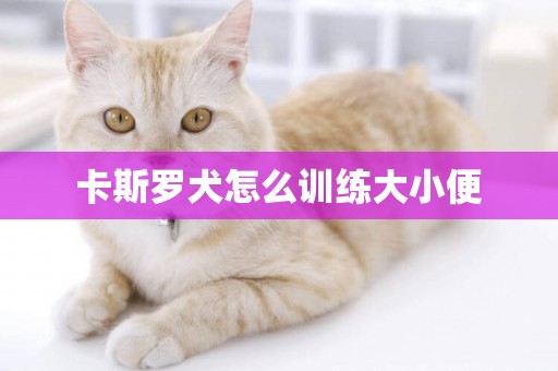 卡斯羅犬怎么訓練大小便