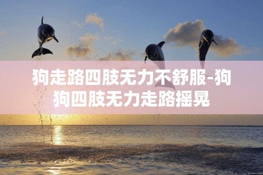 狗走路四肢無力不舒服-狗狗四肢無力走路搖晃