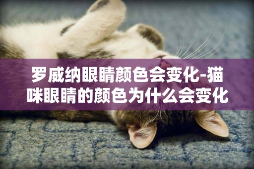 羅威納眼睛顏色會變化-貓咪眼睛的顏色為什么會變化