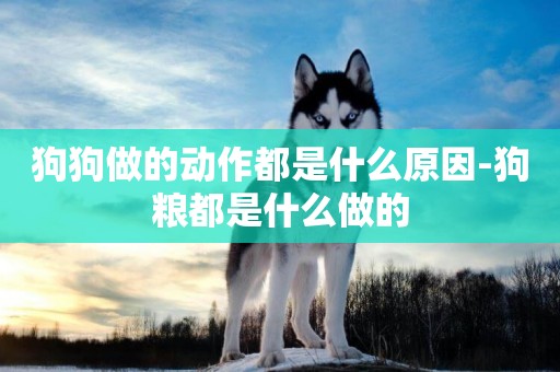 狗狗做的動作都是什么原因-狗糧都是什么做的