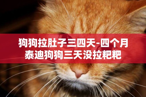 狗狗拉肚子三四天-四個月泰迪狗狗三天沒拉粑粑