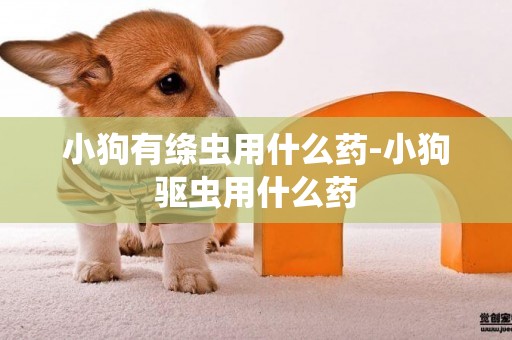 小狗有絳蟲用什么藥-小狗驅蟲用什么藥