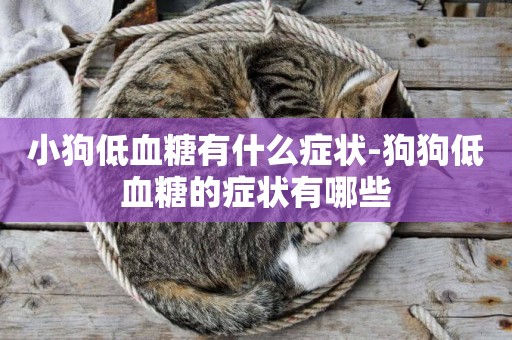小狗低血糖有什么癥狀-狗狗低血糖的癥狀有哪些