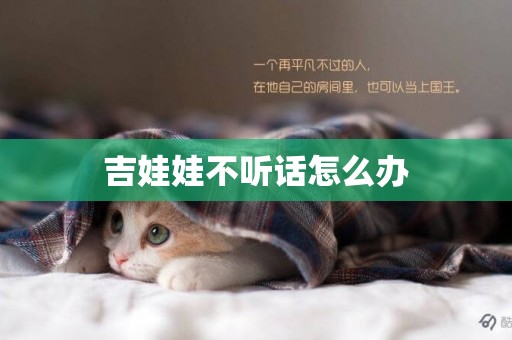 吉娃娃不聽話怎么辦