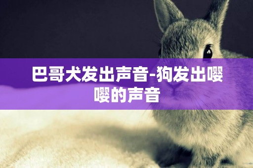 巴哥犬發出聲音-狗發出嚶嚶的聲音