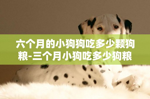 六個月的小狗狗吃多少顆狗糧-三個月小狗吃多少狗糧好