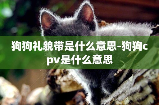狗狗禮貌帶是什么意思-狗狗cpv是什么意思