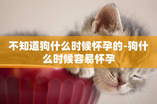 不知道狗什么時候懷孕的-狗什么時候容易懷孕