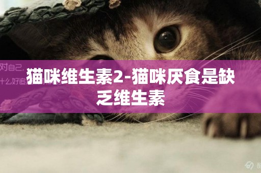 貓咪維生素2-貓咪厭食是缺乏維生素