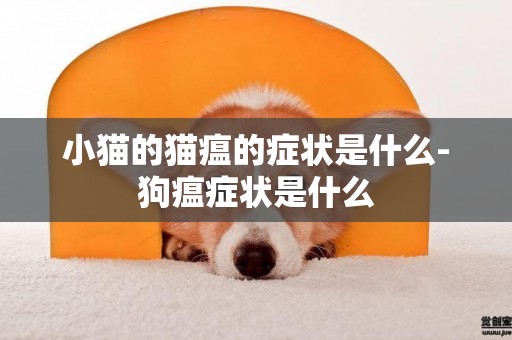小貓的貓瘟的癥狀是什么-狗瘟癥狀是什么