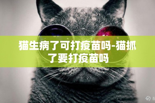 貓生病了可打疫苗嗎-貓抓了要打疫苗嗎