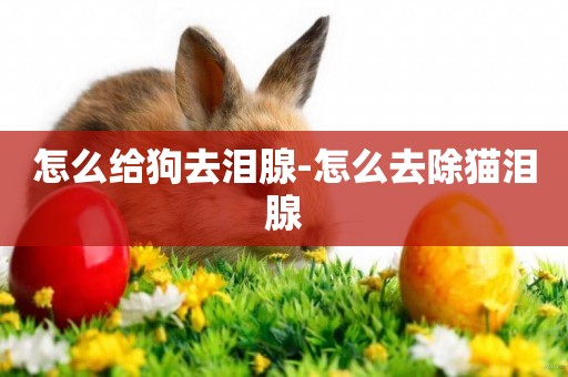 怎么給狗去淚腺-怎么去除貓淚腺