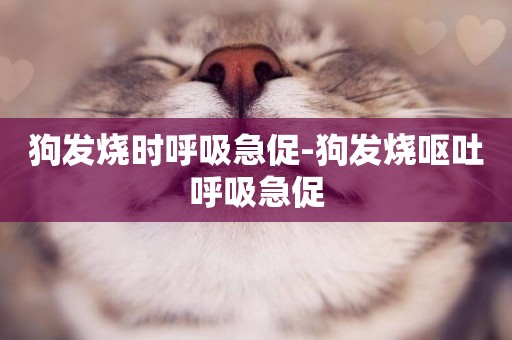 狗發燒時呼吸急促-狗發燒嘔吐呼吸急促