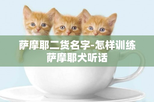 薩摩耶二貨名字-怎樣訓練薩摩耶犬聽話
