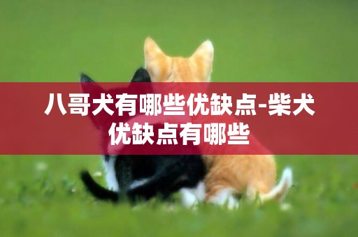 八哥犬有哪些優缺點-柴犬優缺點有哪些