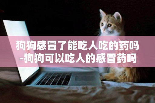 狗狗感冒了能吃人吃的藥嗎-狗狗可以吃人的感冒藥嗎