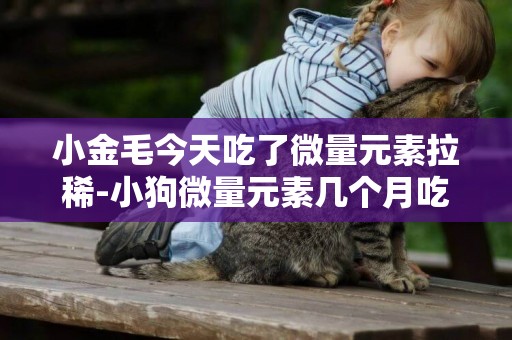 小金毛今天吃了微量元素拉稀-小狗微量元素幾個月吃