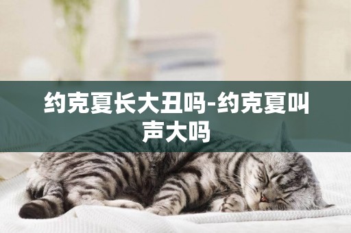 約克夏長大丑嗎-約克夏叫聲大嗎