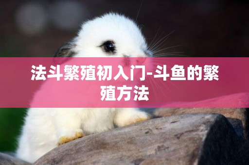 法斗繁殖初入門-斗魚的繁殖方法