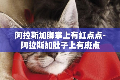 阿拉斯加腳掌上有紅點點-阿拉斯加肚子上有斑點