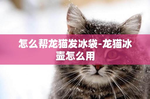 怎么幫龍貓發冰袋-龍貓冰壺怎么用