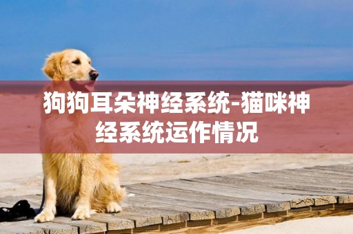 狗狗耳朵神經系統-貓咪神經系統運作情況