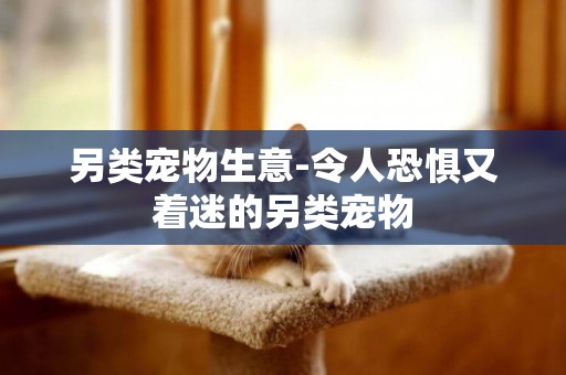 另類寵物生意-令人恐懼又著迷的另類寵物