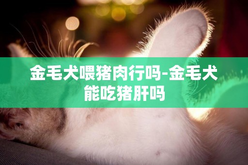 金毛犬喂豬肉行嗎-金毛犬能吃豬肝嗎