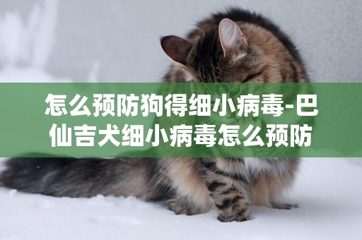 怎么預防狗得細小病毒-巴仙吉犬細小病毒怎么預防