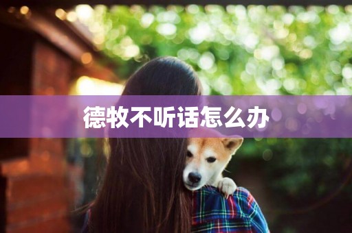 德牧不聽話怎么辦