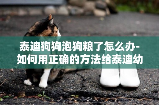 泰迪狗狗泡狗糧了怎么辦-如何用正確的方法給泰迪幼犬泡著吃狗糧