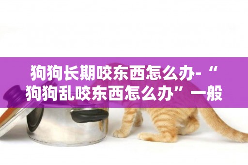 狗狗長期咬東西怎么辦-“狗狗亂咬東西怎么辦”一般是什么原因造成的