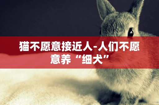 貓不愿意接近人-人們不愿意養“細犬”