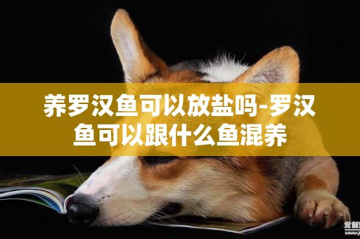 養羅漢魚可以放鹽嗎-羅漢魚可以跟什么魚混養