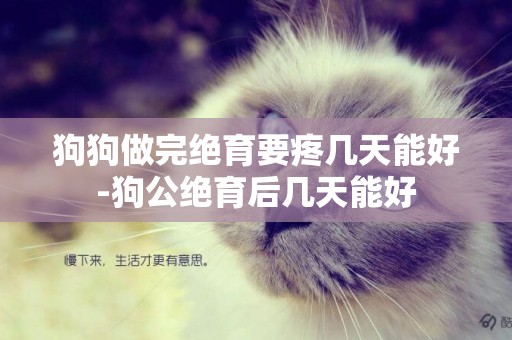 狗狗做完絕育要疼幾天能好-狗公絕育后幾天能好
