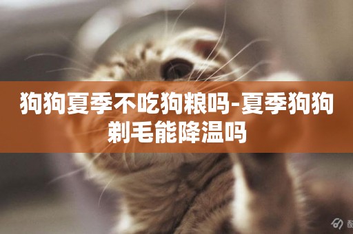 狗狗夏季不吃狗糧嗎-夏季狗狗剃毛能降溫嗎