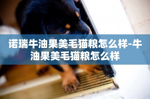 諾瑞牛油果美毛貓糧怎么樣-牛油果美毛貓糧怎么樣