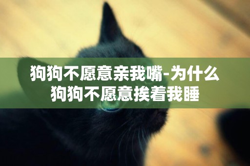 狗狗不愿意親我嘴-為什么狗狗不愿意挨著我睡