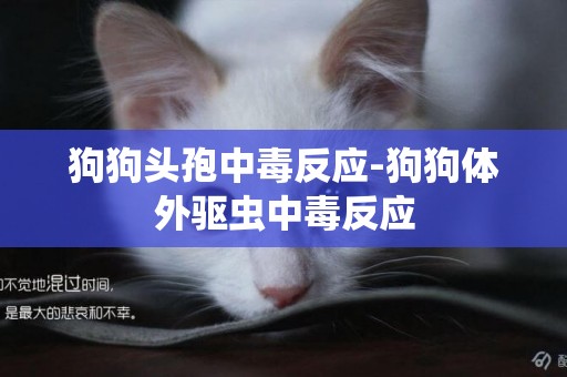 狗狗頭孢中毒反應-狗狗體外驅蟲中毒反應