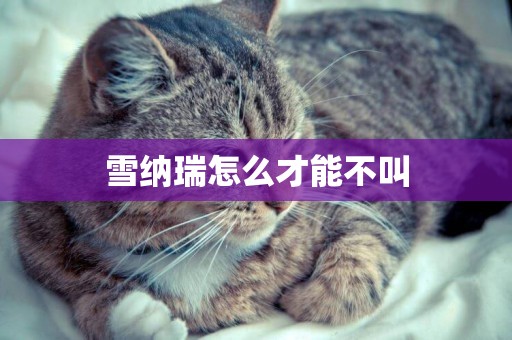 雪納瑞怎么才能不叫